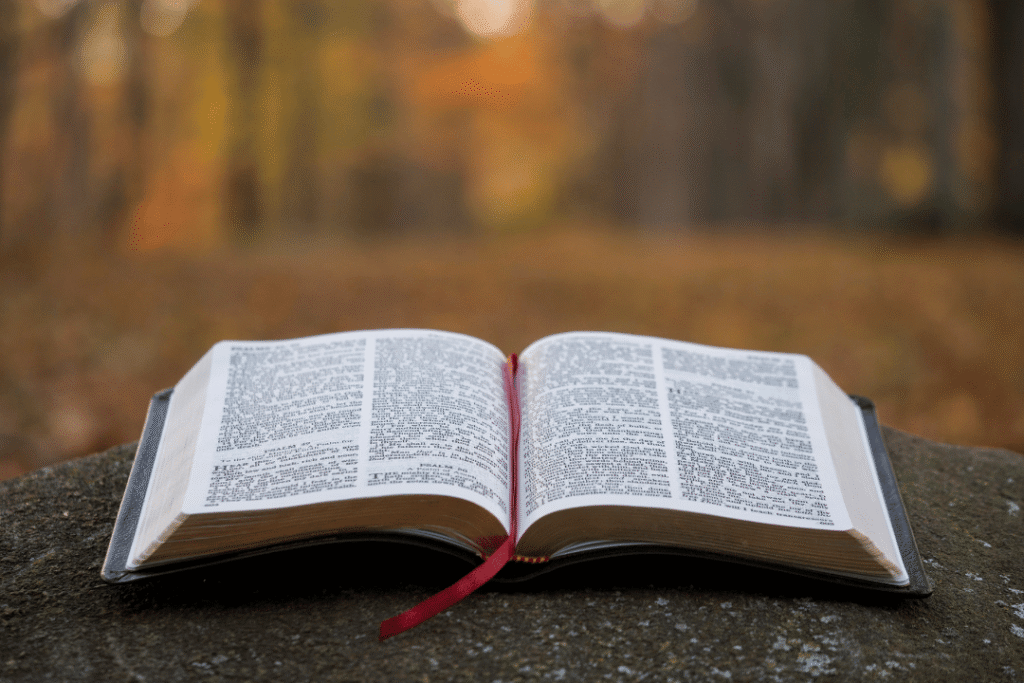 Coluna A Vida Conforme a Bíblia - Portal São Lourenço Mártir