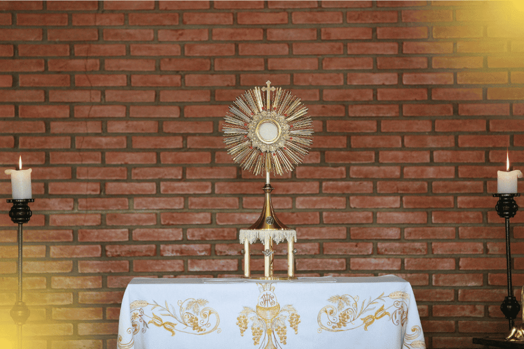 Conteúdo Especial - Portal São Lourenço Mártir