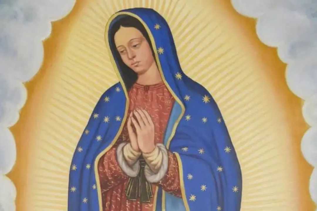 A Senhora Morena que Abraça as Nações